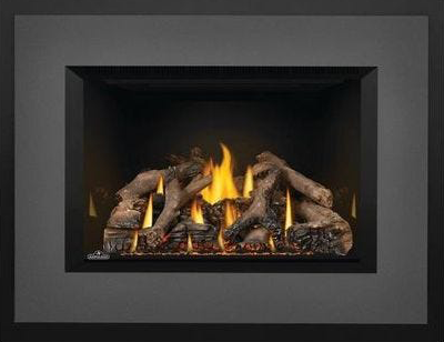 gas fireplace INSERT